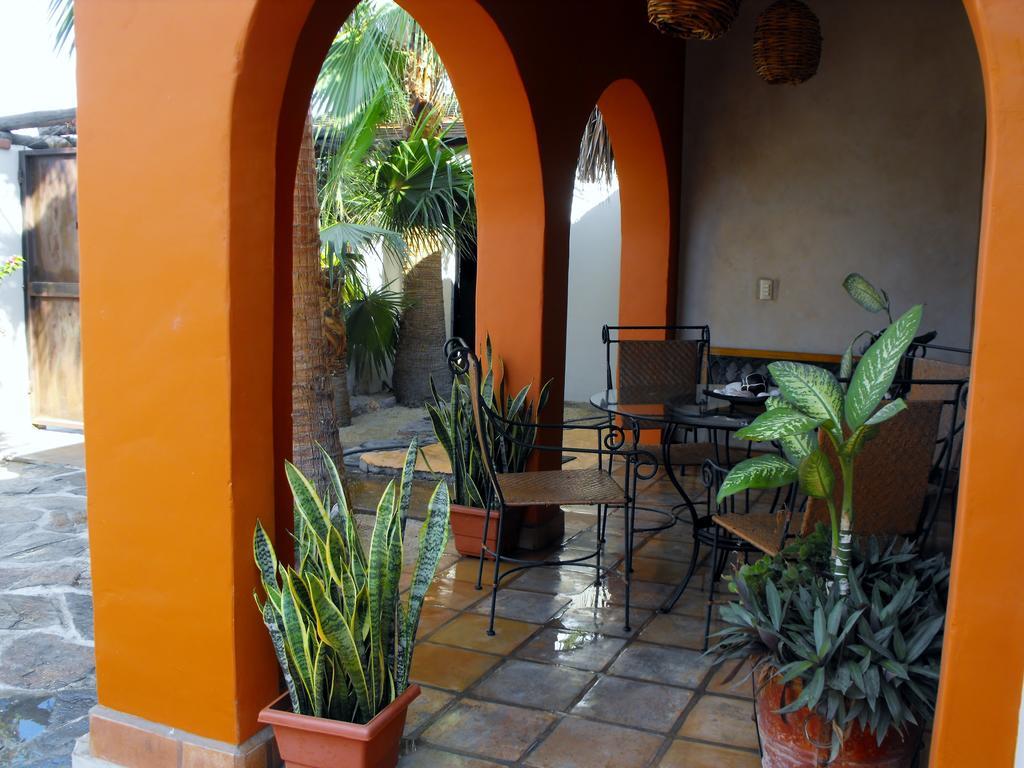 Leo'S Baja Oasis Hotell La Paz Rum bild