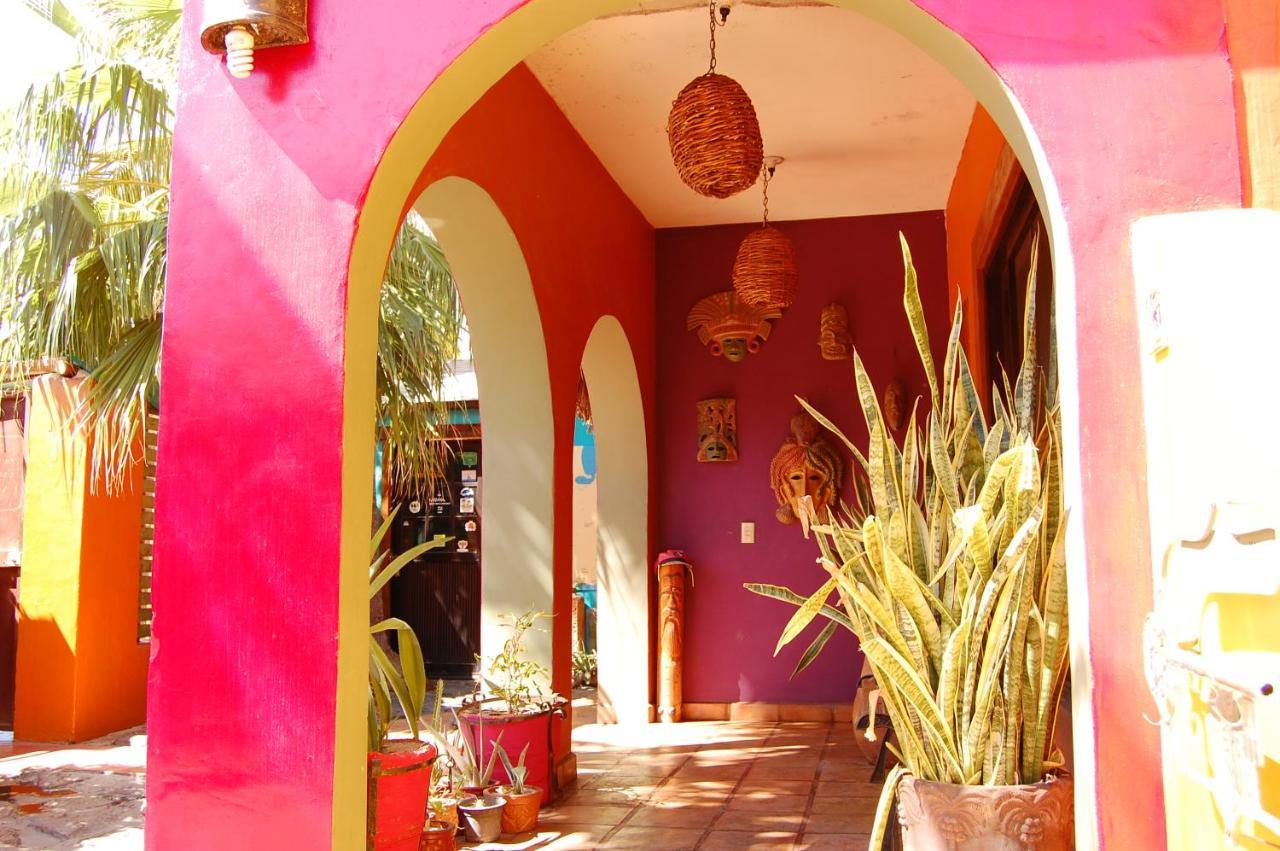 Leo'S Baja Oasis Hotell La Paz Exteriör bild