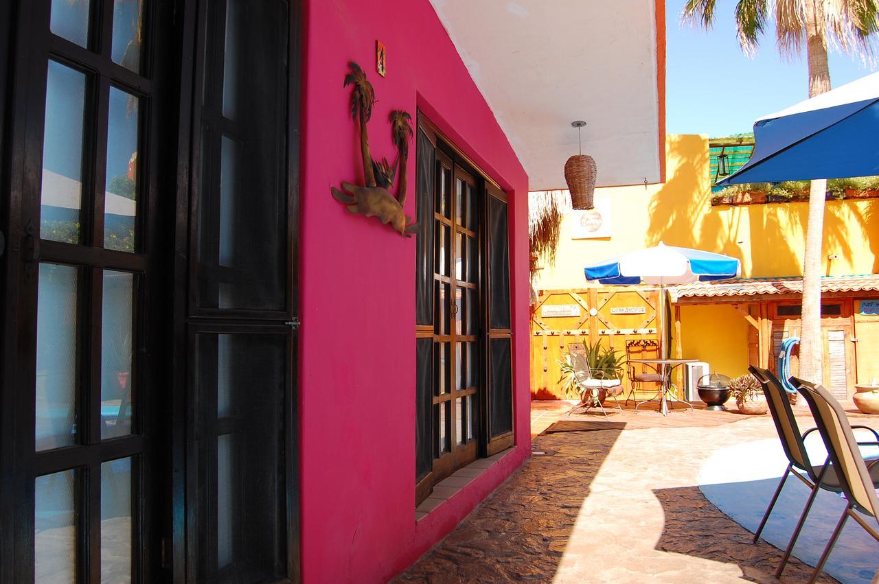 Leo'S Baja Oasis Hotell La Paz Exteriör bild